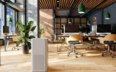 Air Purifier vs. Humidifier: Is There a Difference?